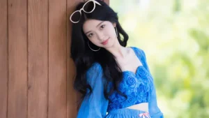 ခရီးသွား ဟန်လွှဲ